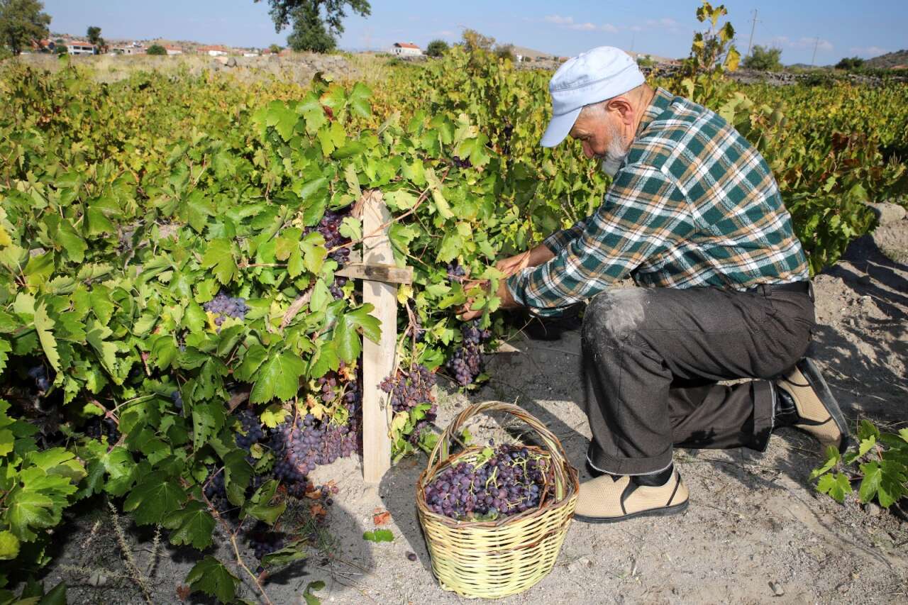 58 yıllık aşkın en doğal hali! Eşine her yıl aynı buketi veriyor 1